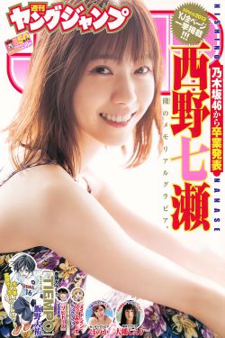 公媳合集